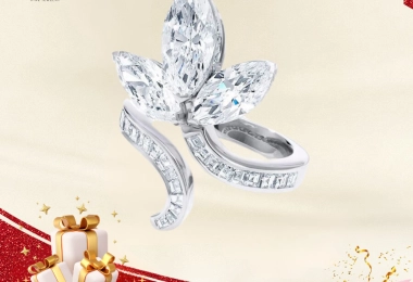 Trang Sức Kim Cương