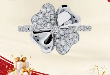 Trang Sức Kim Cương