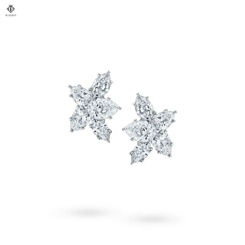 Bông Tai Fancy Shape